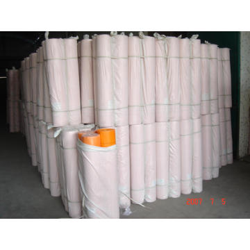 C-Glass of Fibreglass Mesh 125g From China